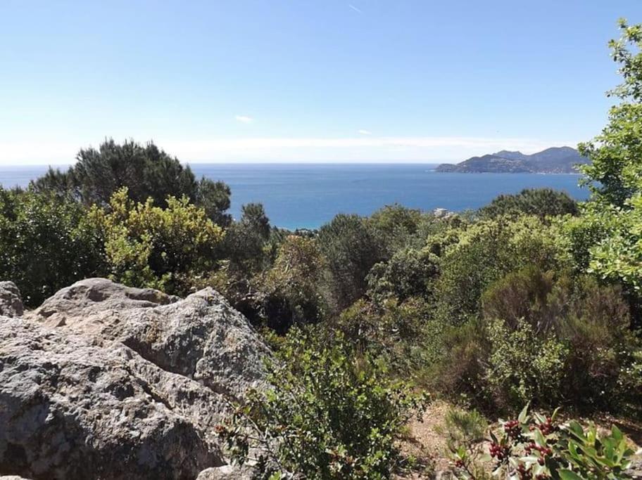 Studio Croix Des Gardes Palais Plages Cannes Exteriér fotografie