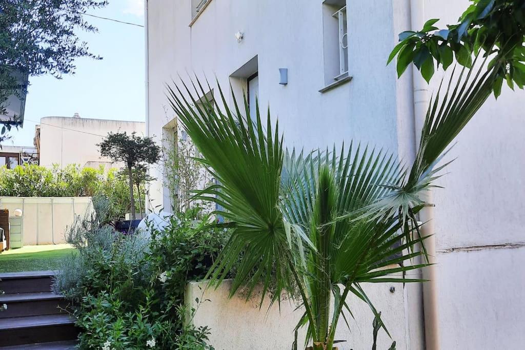 Studio Croix Des Gardes Palais Plages Cannes Exteriér fotografie